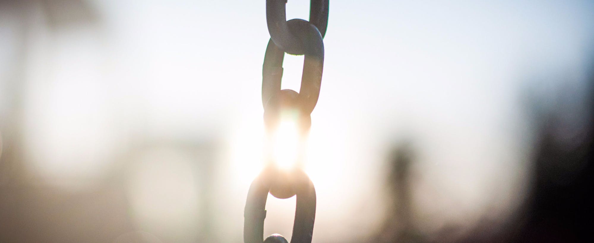 Destined To Be Free PMA