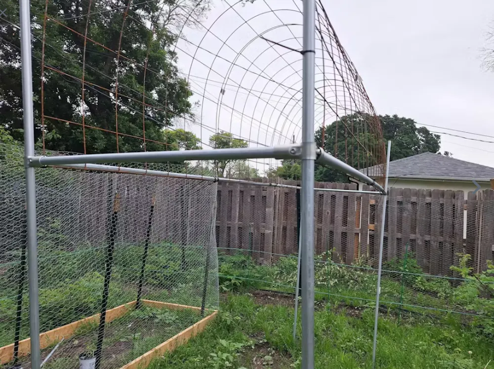 trellis arch.PNG