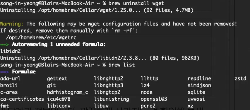 Python 스크립트의 스크린샷
