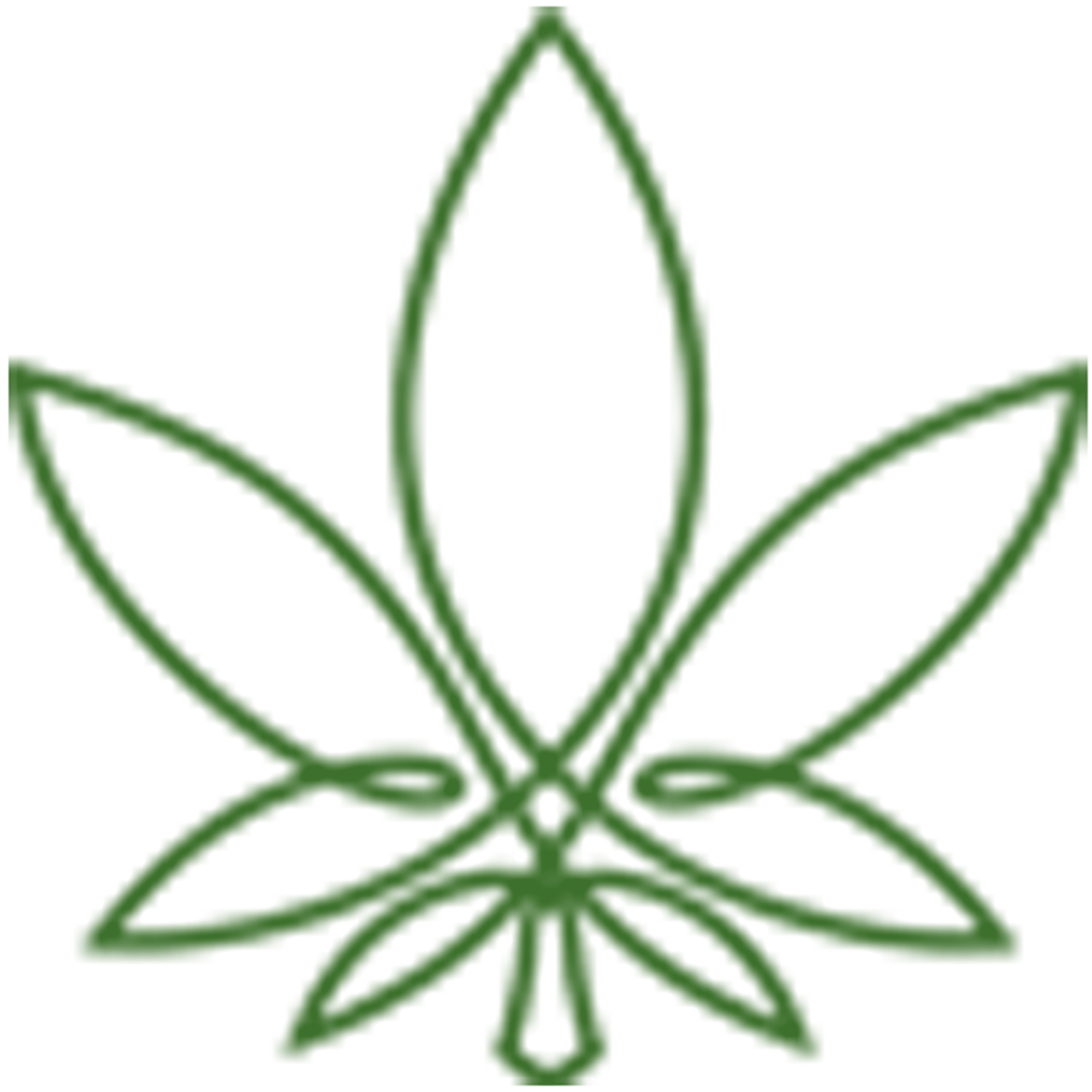 Cannabis Social Club Saarland