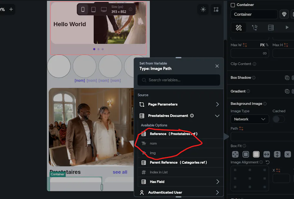 I’m unable to retrieve image data from Firestore in FlutterFlow.