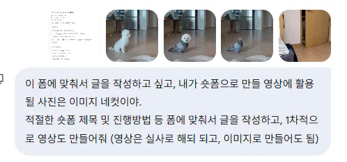 고양이 사진이 포함된 한국어 문자 메시지 스크린샷