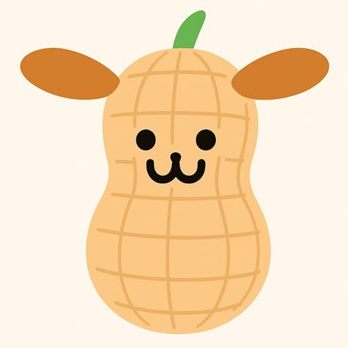 땅콩콩