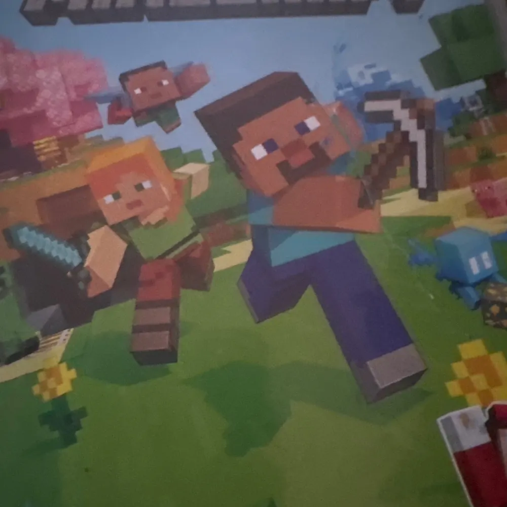 Mr Minecrafter
