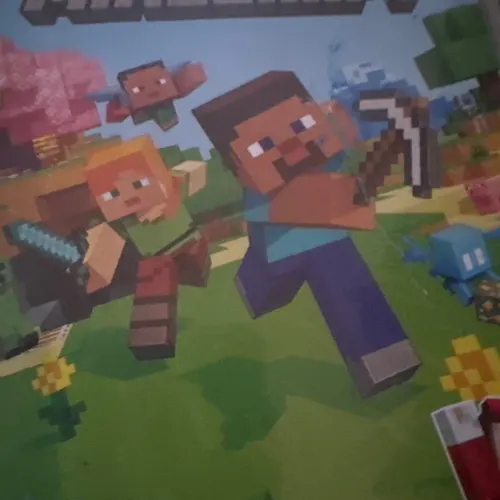 Mr Minecrafter