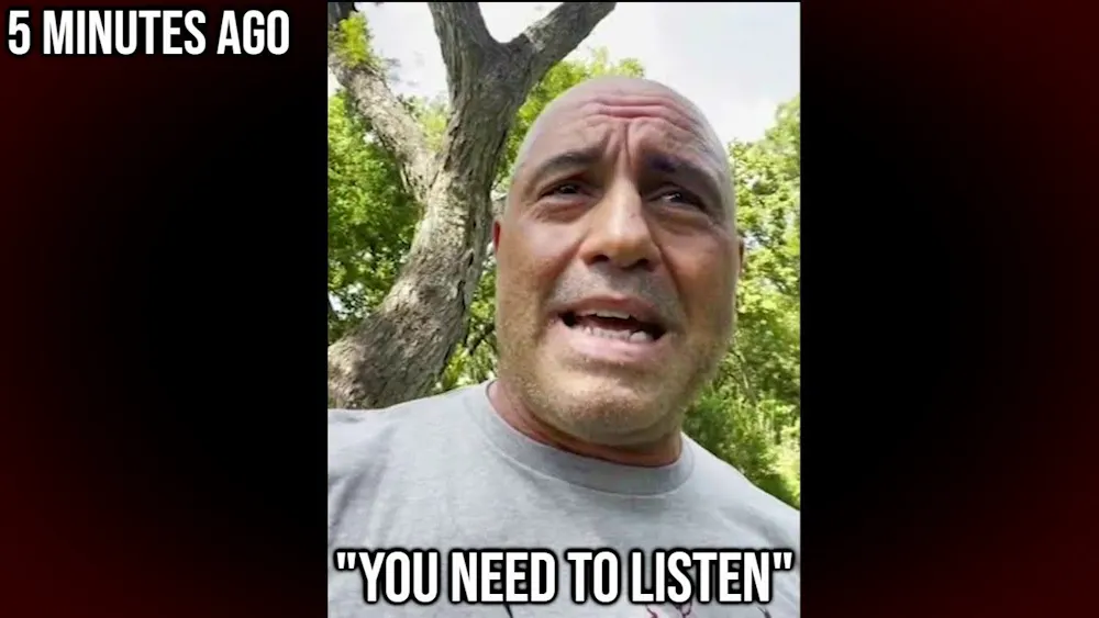 Joe Rogan: 
