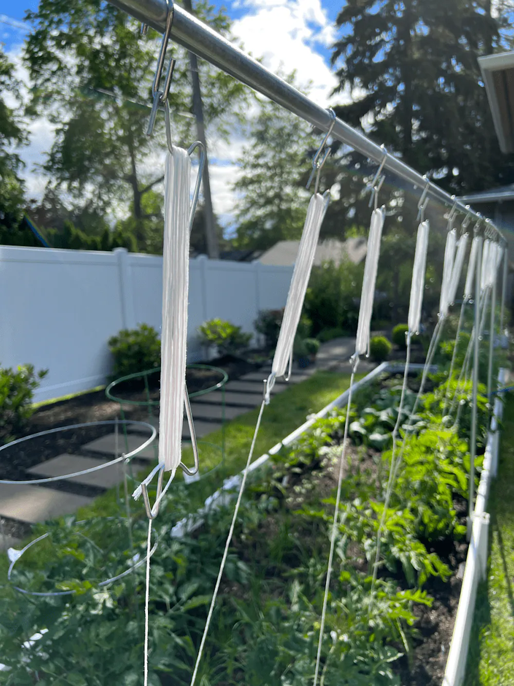 My newly built lower and lean tomato trellis. Love...
