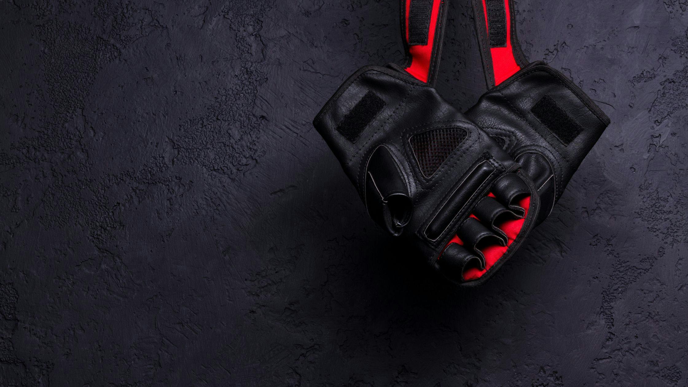 règle MMA durée combat MMA