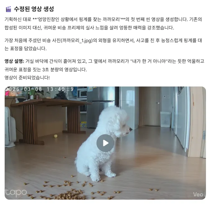 개가 땅콩을 먹는 모습을 보여주는 한국 비디오