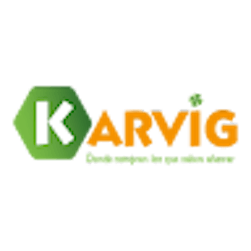 Super Karvig