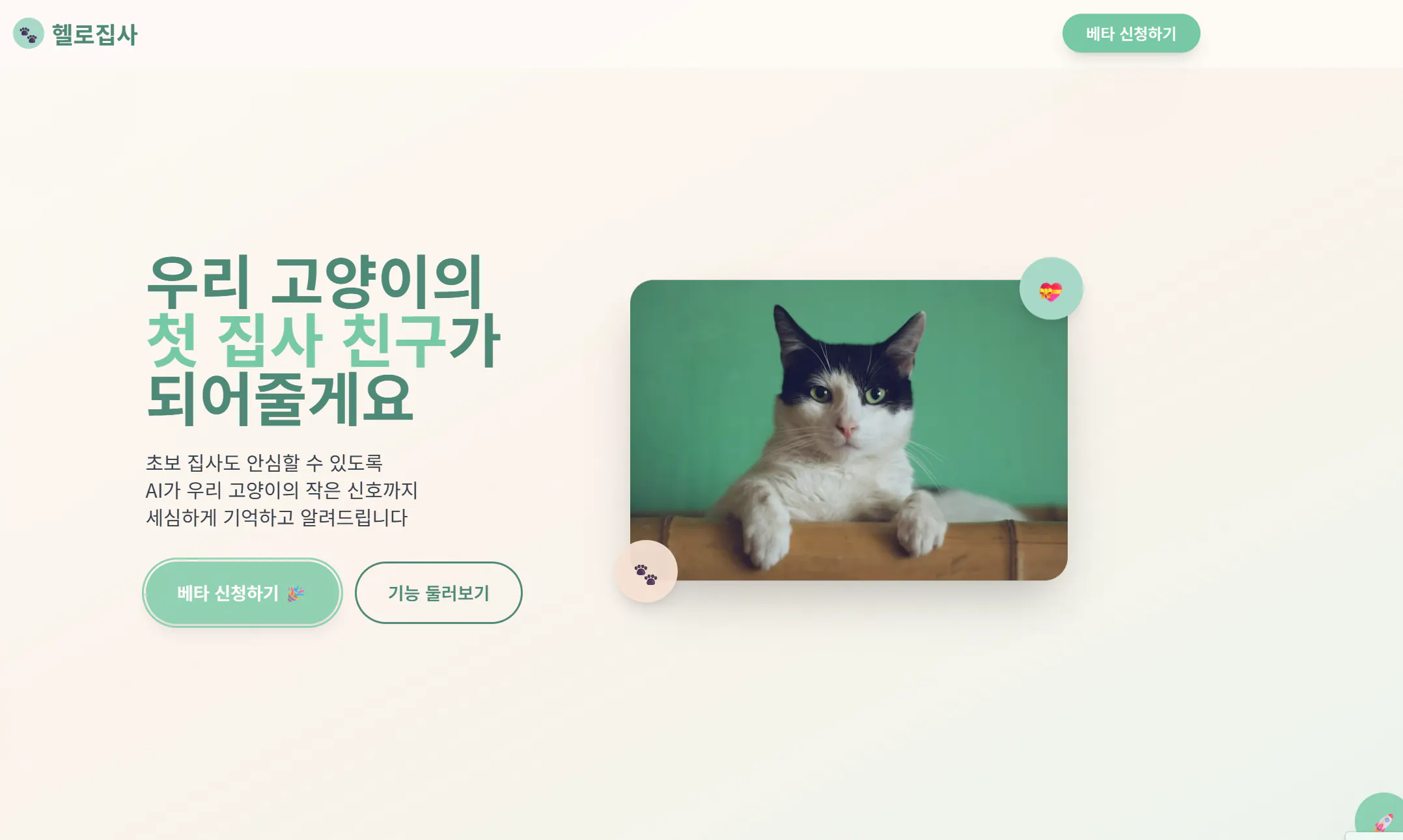고양이가있는 녹색 스크린