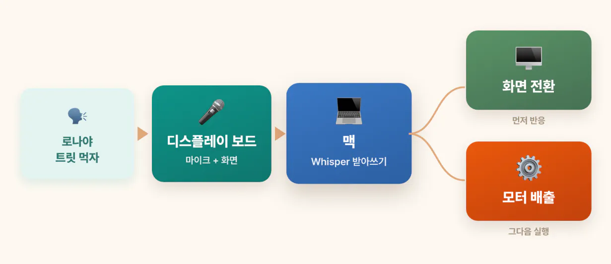 한국어의 다양한 유형을 보여주는 다이어그램
