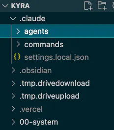 Kyra 에이전트 설정 스크린샷