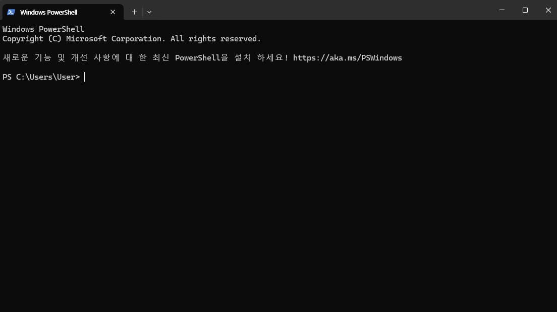 Windows 10에서 명령 프롬프트의 스크린 샷