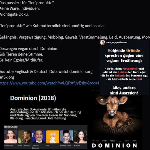 an3x.org watchdominion