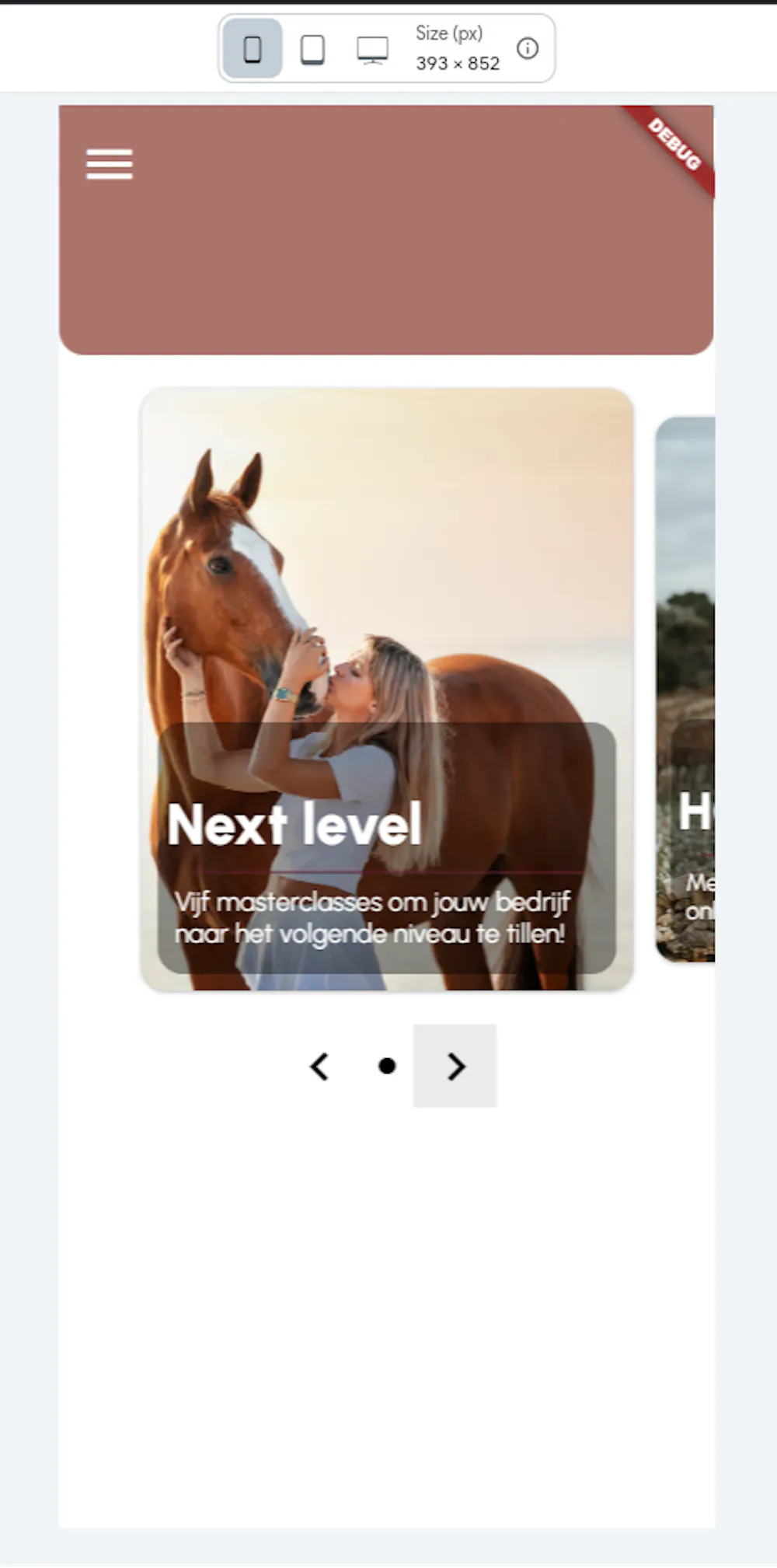 Carousel widget buttons (next/last)?