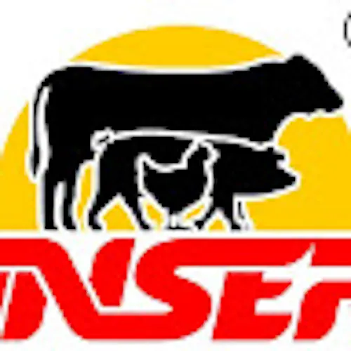 INVESTIGACION INSUMOS