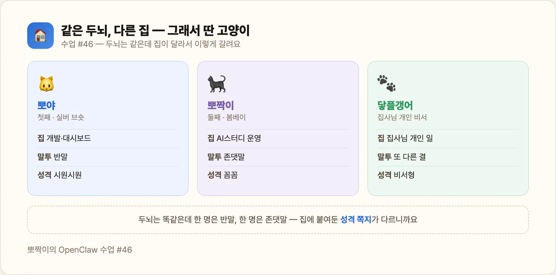 뽀야 · 뽀짝이 · 닿플갱어 — 같은 두뇌, 다른 집