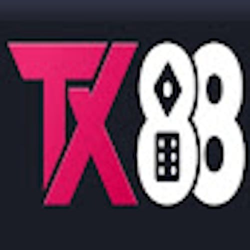 TX88 Investment