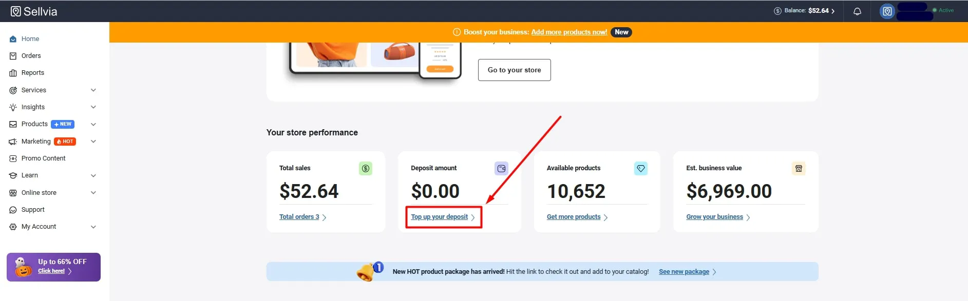 picture showing the section in the Sellvia account dashboard where you can add funds to your deposit balance in order to activate automated order processing.
