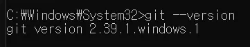 'windows system hgt version 23 1 windows 1'이라는 단어가 표시된 검은색 화면