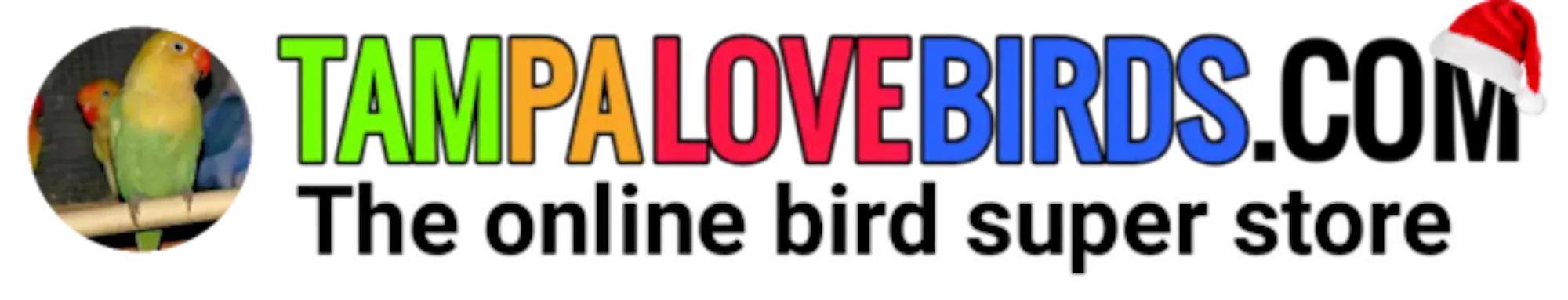 Tampalovebirds Social
