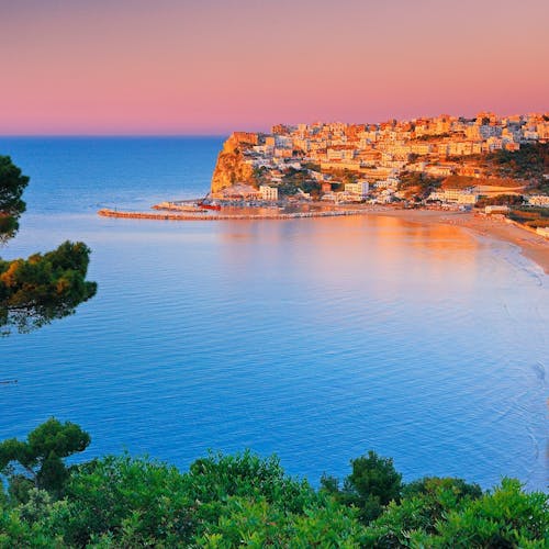 Lilac Shore