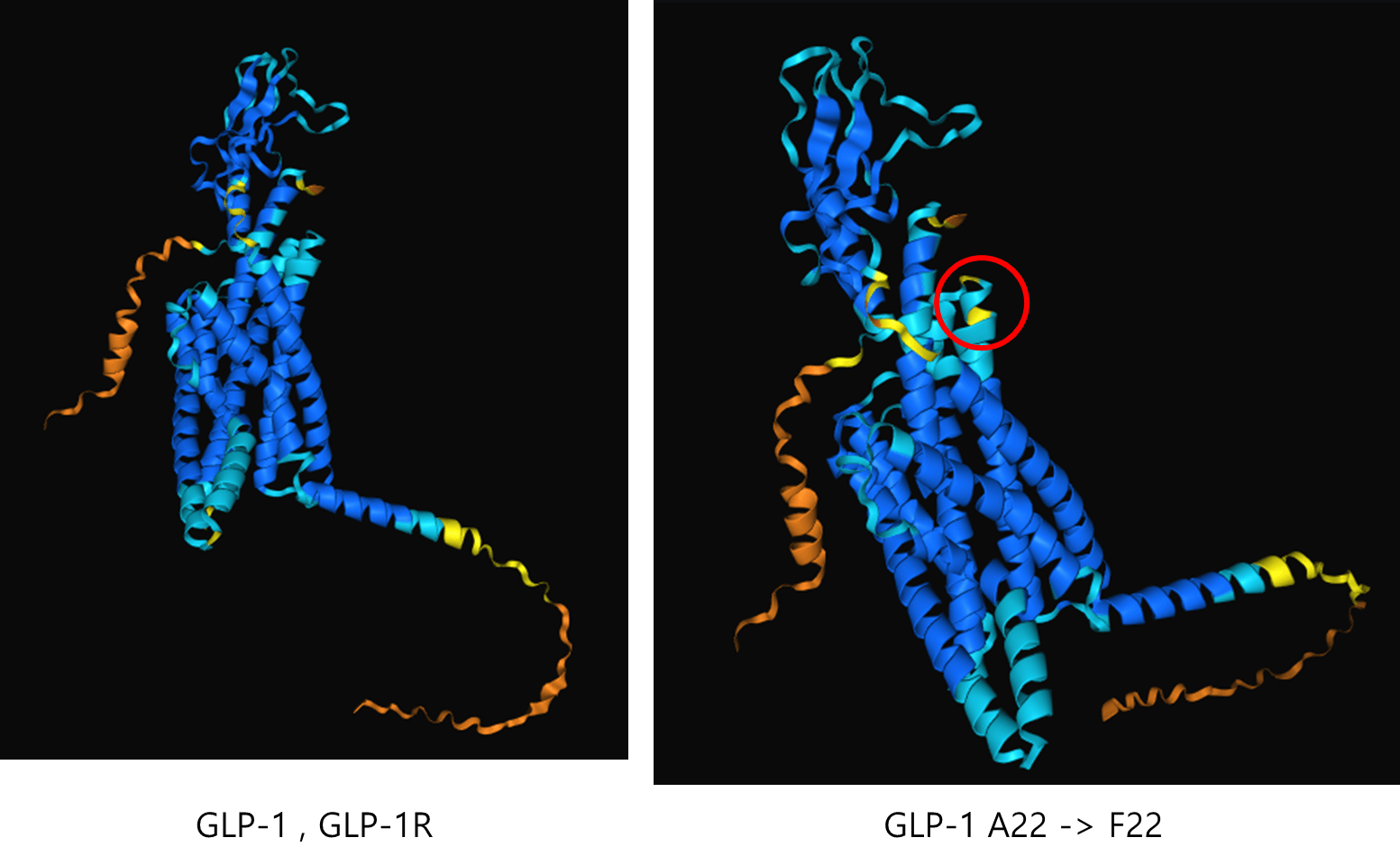 동일한 DNA 구조의 두 가지 다른 이미지