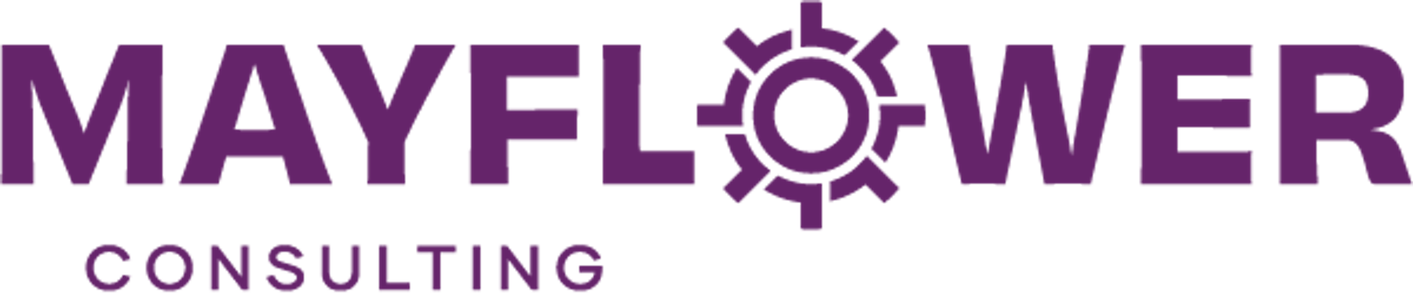 Mayflower Consulting