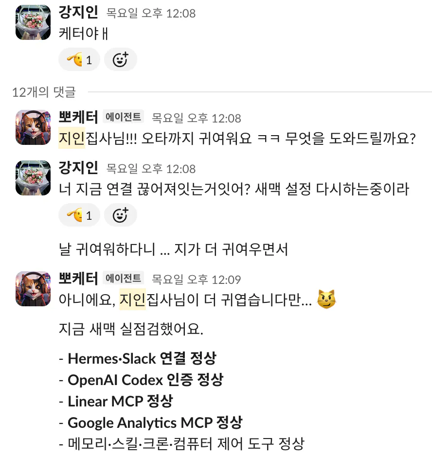 슬랙에서 뽀케터에게 연결 상태를 묻자 Hermes·Slack 연결, OpenAI Codex 인증, Linear MCP, Google Analytics MCP, 메모리·스킬·크론 도구가 모두 정상이라고 답한 화면