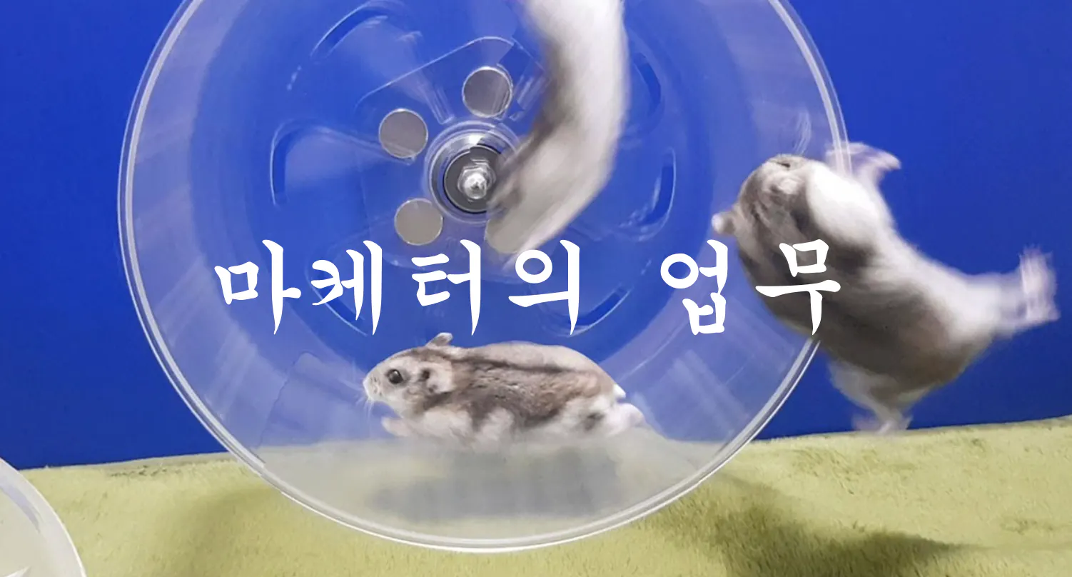 햄스터 두 마리가 바퀴 위에서 놀고 있다