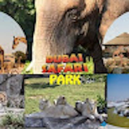 Dubai Safari Park