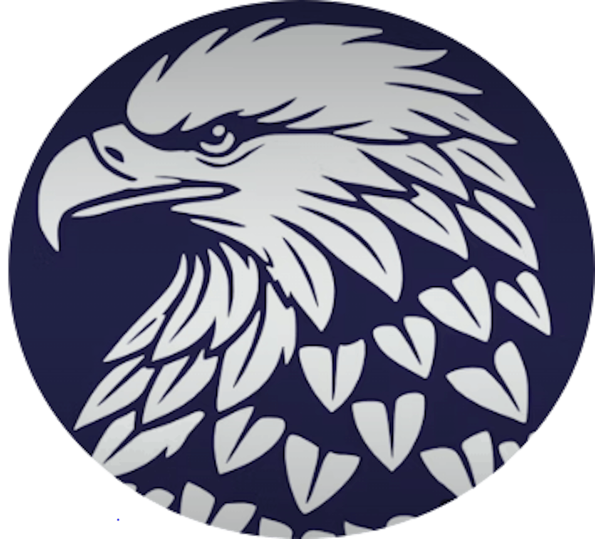 Falcon Academy