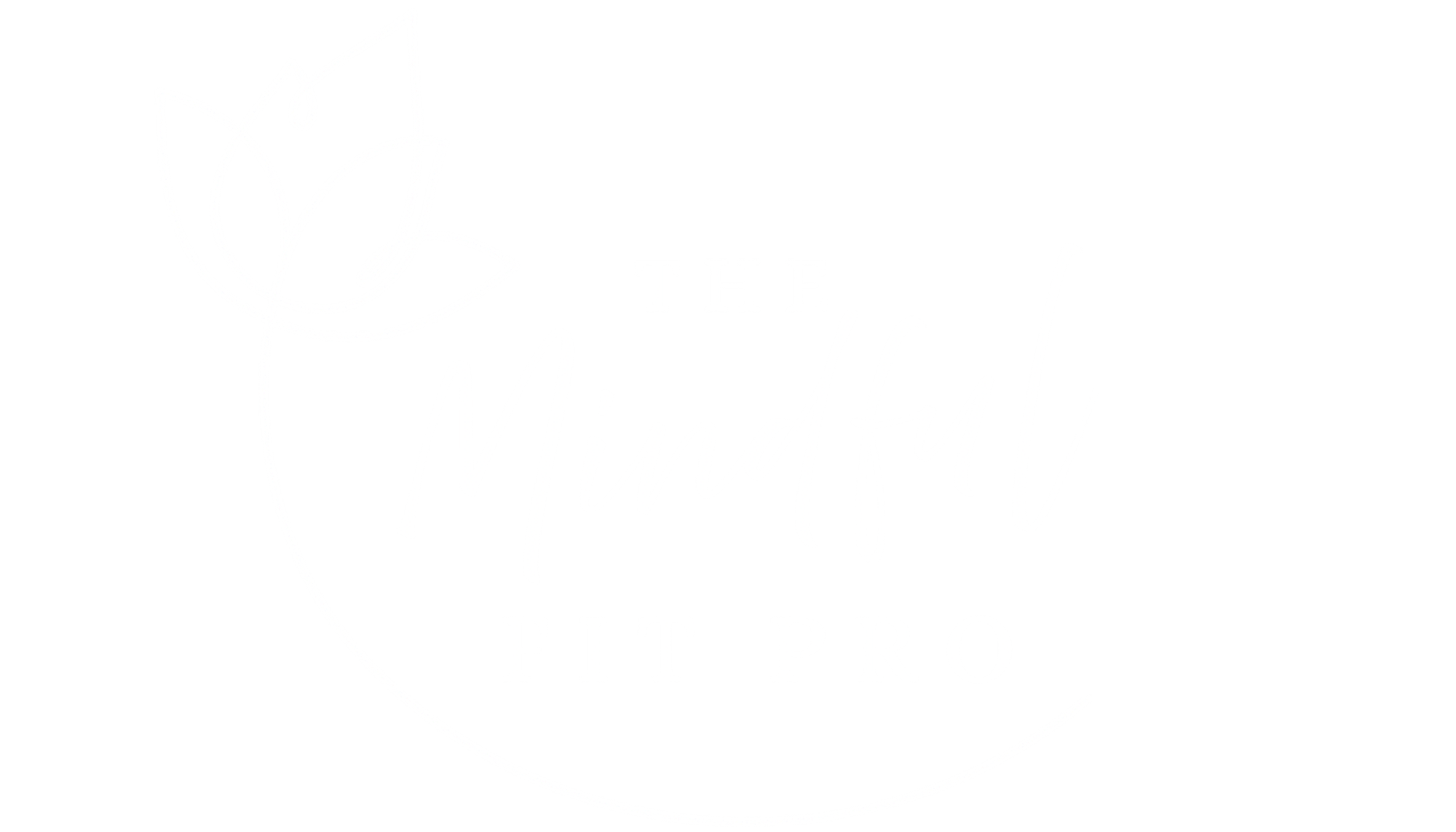 The Mindful Fit Pro Collective