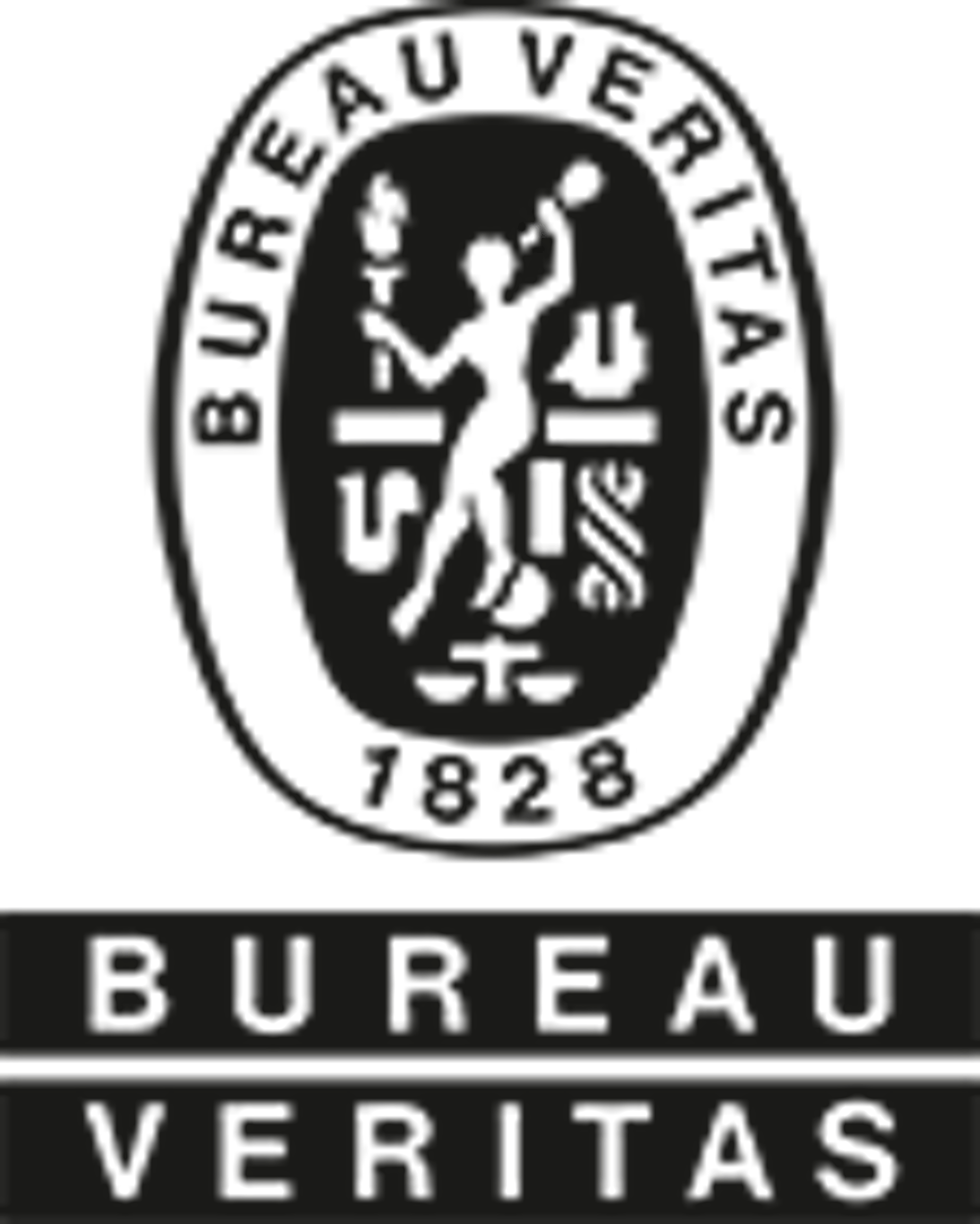 netvaerk bureauveritas