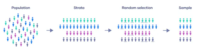 Statistics Study Aid: Stratified Random Sampling