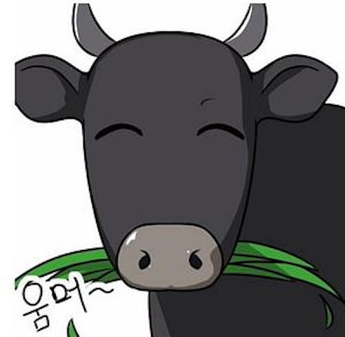 HOOOGUMA