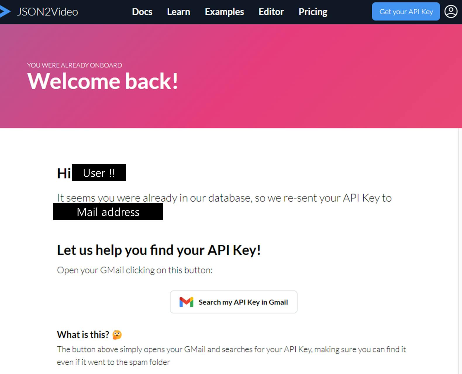 API 키에 대한 환영 페이지의 스크린샷