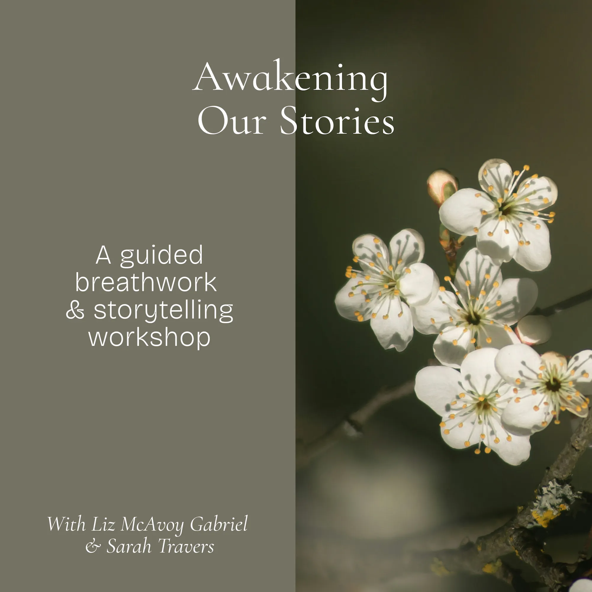 Awakening Our Stories Graphic.jpg