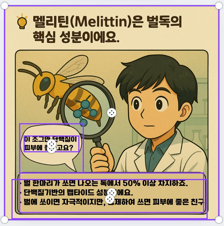 돋보기가있는 꿀벌 사진