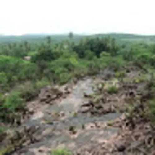 Patrícia Araújo Sodré