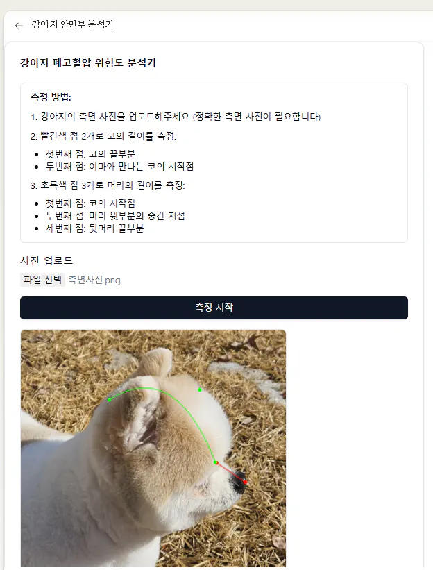 한국의 개 이미지