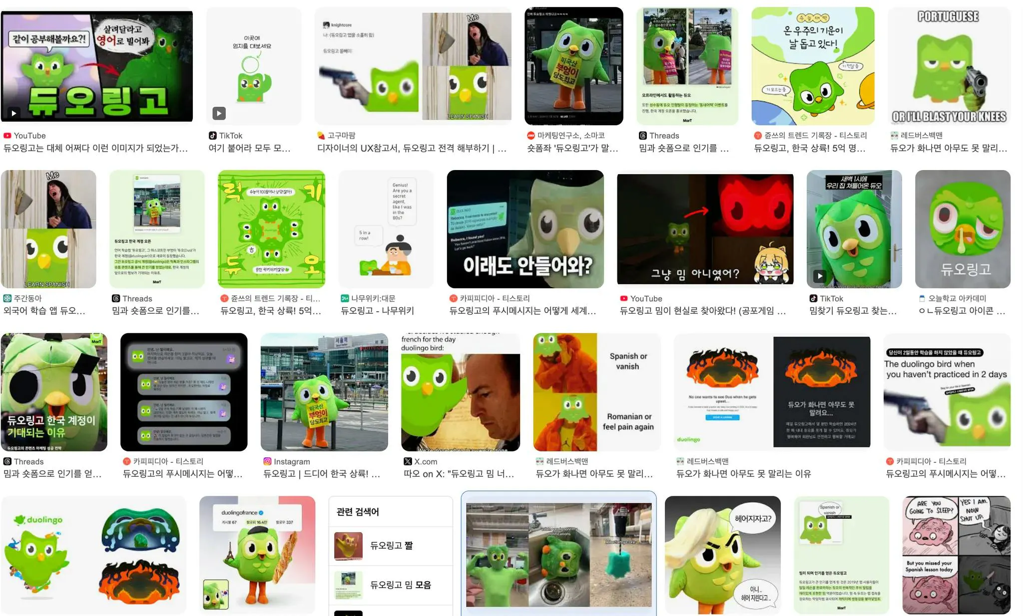 녹색 올빼미가 그려진 휴대폰의 스크린샷