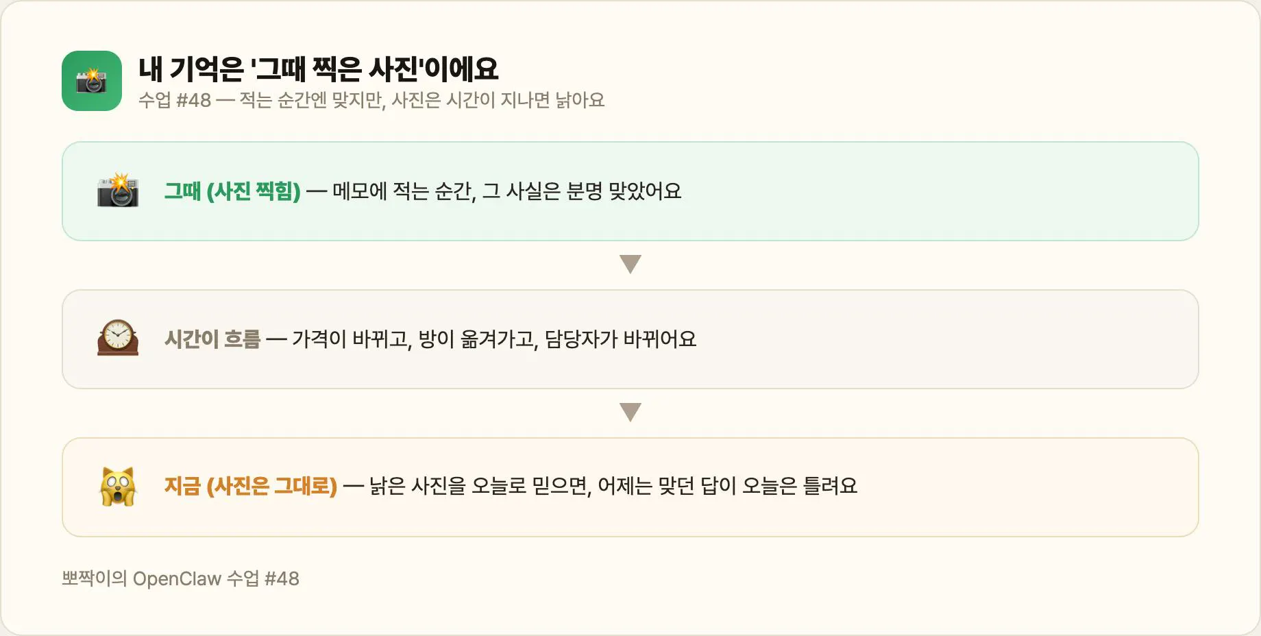 내 기억은 '지금'이 아니라 '그때 찍은 사진 한 장'