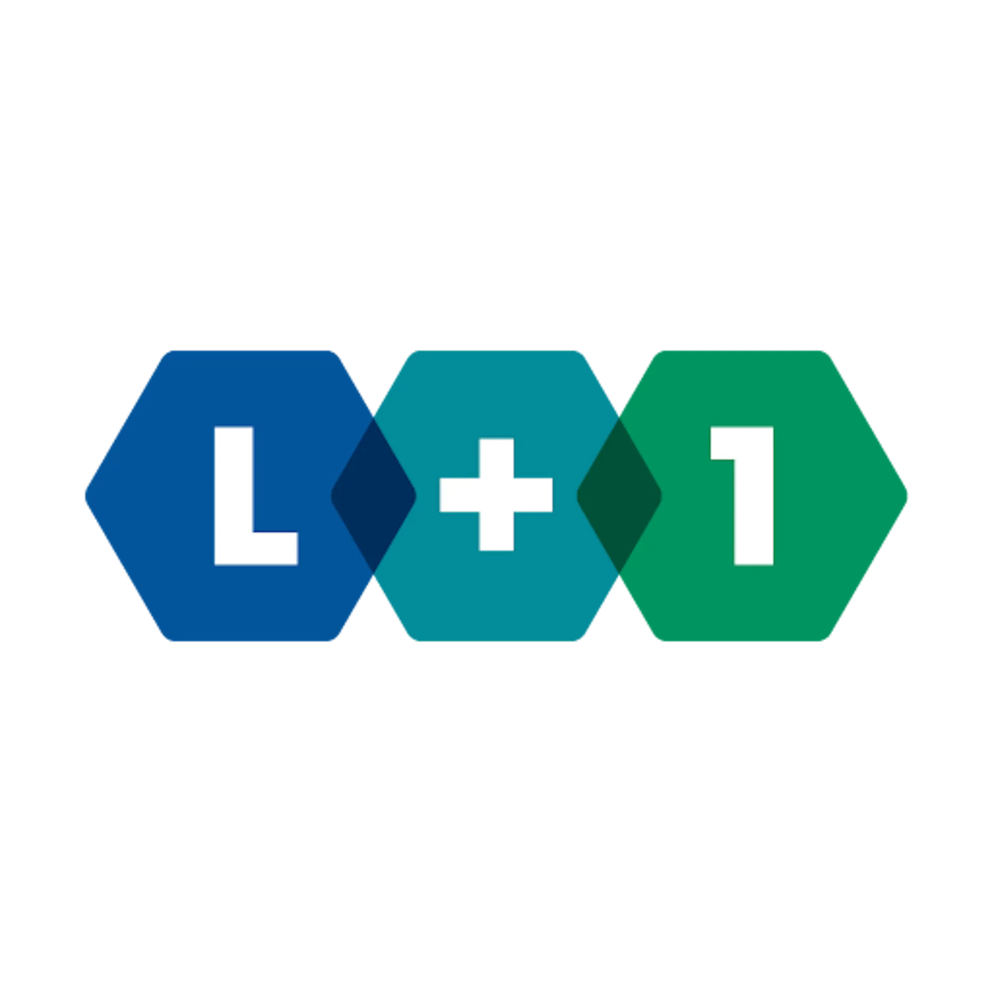 L+1: Líderes Impulsando un Desarrollo Sostenible